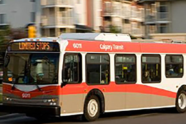 Calgary transit bus