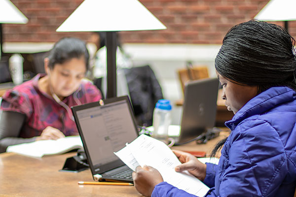 Students work on their laptops in the Stan Grad Centre study space.
