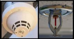 A smoke detector and sprinkler