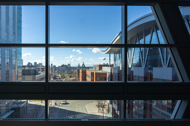 A view from the windows of the Aldred Centre